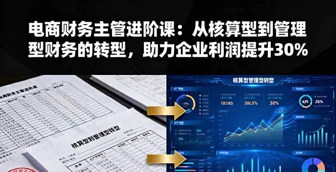 电商财务主管进阶课：从核算型到管理型财务的转型，助力企业利润提升30% - 付费阅读