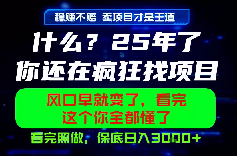 26年，请不要疯狂的找项目做了！卖项目才是真的稳賺不赔，看完照做，保底日入1k+【揭秘】 - 付费阅读
