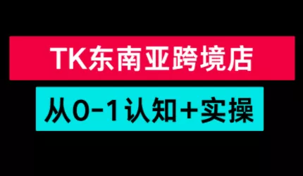 TikTok东南亚跨境从0-1认知实操课 - 付费阅读