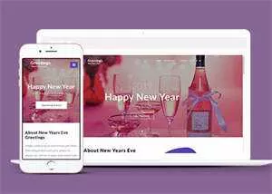 响应式新年快乐专题页面模板 - 付费阅读