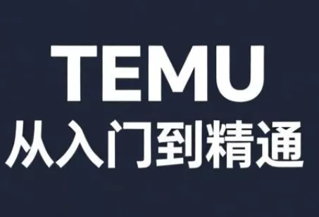 跨境麦冬·TEMU从入门到精通 - 付费阅读