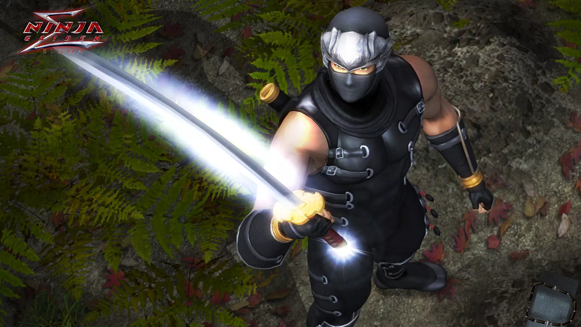 《忍者龙剑传：大师合集/NINJA GAIDEN: Master Collection》PC中文版下载-含v1.0.0.3 - 付费阅读