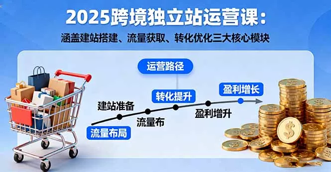 2025跨境独立站运营课：涵盖建站搭建、流量获取、转化优化三大核心模块 - 付费阅读