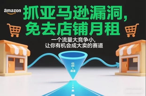 抓亚马逊漏洞，免去店铺月租，一个流量大竞争小，让你有机会成大卖的赛道 - 付费阅读