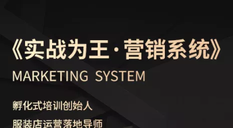 老杨·服装老板必修课《实战为王-营销系统》实现业绩被动式增长 - 付费阅读