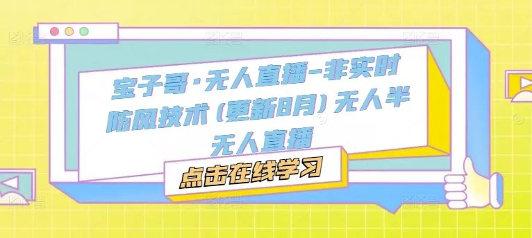 宝子哥·无人直播-非实时防风技术(更新25年9月)无人半无人直播 - 付费阅读