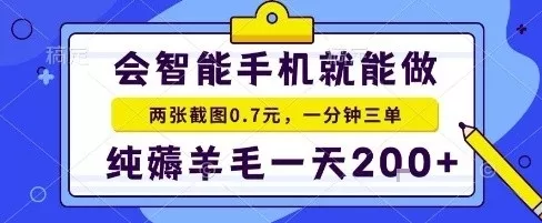 手机项目，二十秒一单，纯薅羊毛一天2张+做就有【揭秘】 - 付费阅读