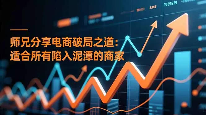 师兄分享电商破局之道：适合所有陷入泥潭的商家 - 付费阅读