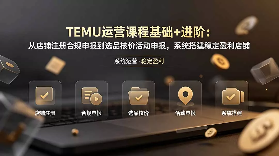 TEMU运营课程(基础+进阶 - 付费阅读