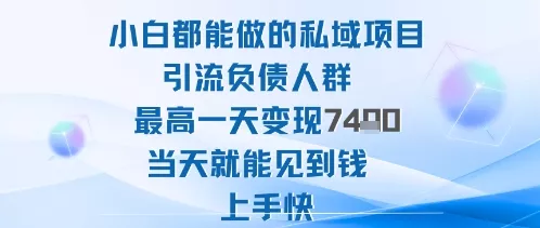 2025年小白都能做的私域项目引流负债人群最高一天变现1k+高变现难度低当天就能见到钱上手快 - 付费阅读