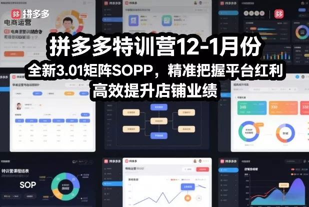 拼多多特训营12-1月份，全新3.01矩阵Sop，精准把握平台红利，高效提升店铺业绩 - 付费阅读