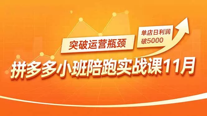 拼多多小班陪跑实战课11月，强付费矩阵、原价活动、暗券引流，突破运营瓶颈，单店日利润破5000 - 付费阅读