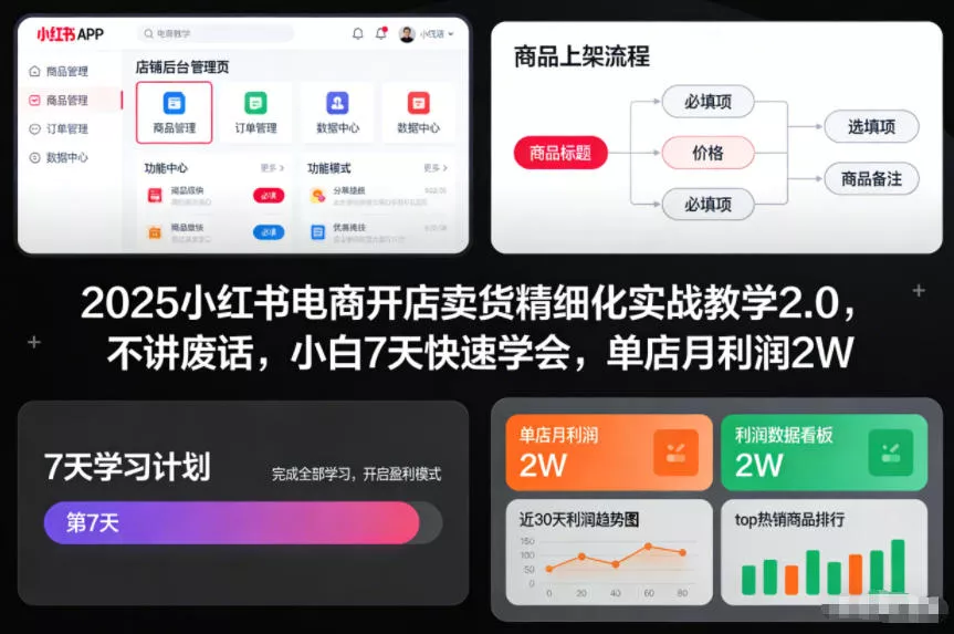 2025小红书电商开店卖货精细化实战教学2.0，不讲废话，小白7天快速学会，单店月利润2W - 付费阅读