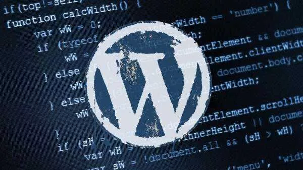 WordPress 5.4 下载 - 付费阅读