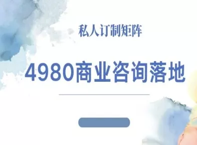 4980商业咨询师落地课程-ip运营高客单教程 - 付费阅读