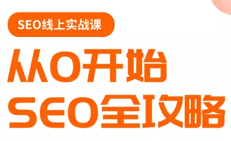 若凡老师·谷歌SEO实操课(更新) - 付费阅读