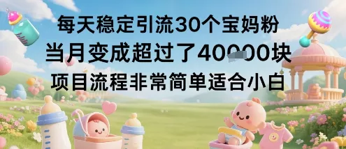 每天稳定引流30个宝妈粉当月变成超过了1W+项目流程非常简单适合小白 - 付费阅读