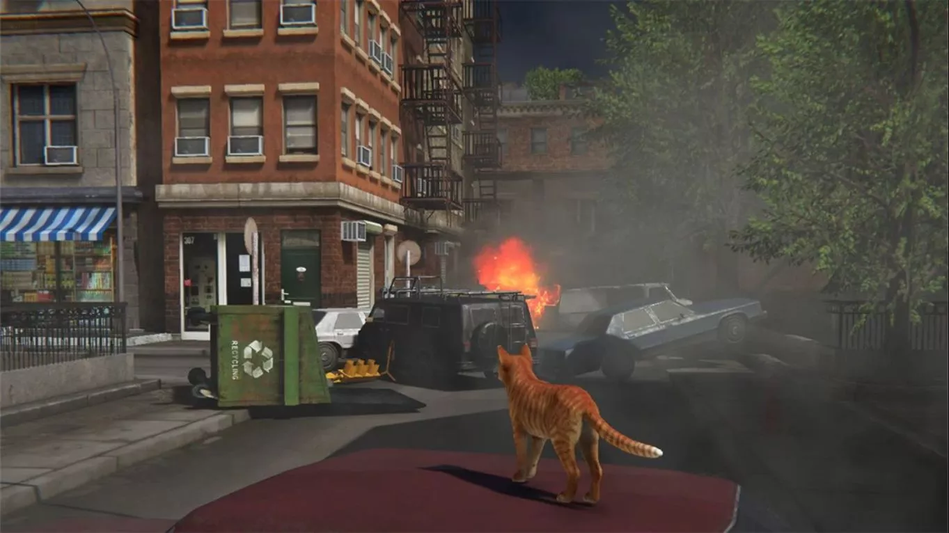 【美版】小猫大营救2 .Little Strays 2 中文