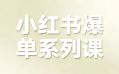 尼采老师·小红书爆单系列课 - 付费阅读