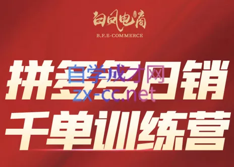 白凤电商·拼多多日销千单训练营(更新2026) - 付费阅读