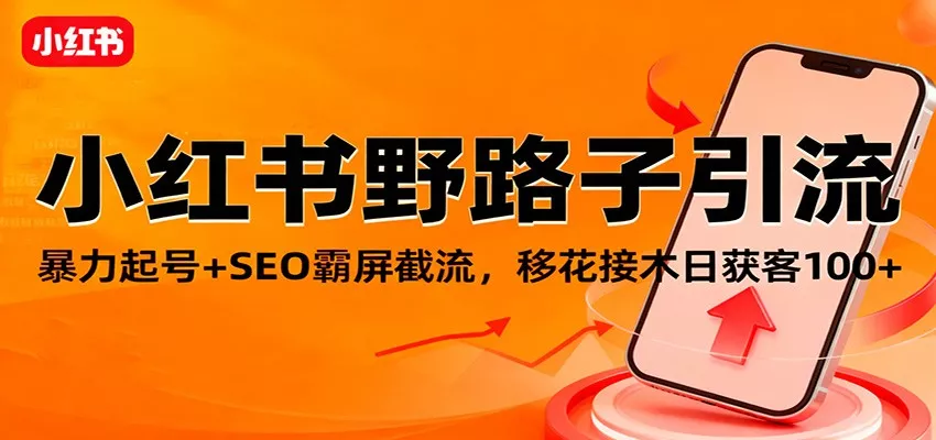 小红书野路子引流，暴力起号+SEO霸屏截流，移花接木日获客100+ - 付费阅读