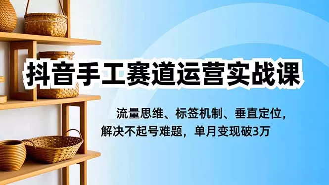 抖音手工赛道运营实战课，流量思维、标签机制、垂直定位，解决不起号难题，单月变现破3万 - 付费阅读