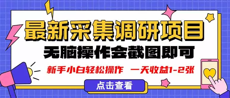 新版采集调研项目，截图上传即可，无脑操作，日收益1-2张 - 付费阅读