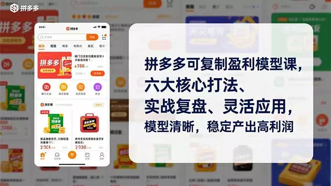 拼多多可复制盈利模型课，六大核心打法、实战复盘、灵活应用，模型清晰，稳定产出高利润 - 付费阅读