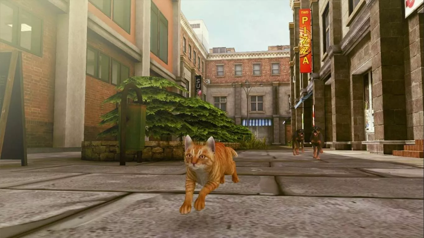 【美版】小猫大营救2 .Little Strays 2 中文