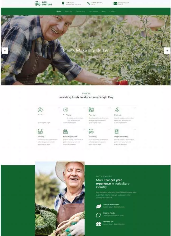 Bootstrap绿色有机果蔬农场html模板 - 付费阅读
