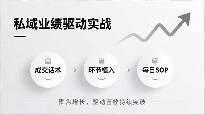 私域业绩驱动实战，成交话术、环节植入、每日SOP，聚焦增长，驱动营收持续突破 - 付费阅读