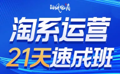 白凤电商·淘系运营21天速成班(更新2026) - 付费阅读