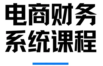 郑老师·电商财务系统课程 - 付费阅读