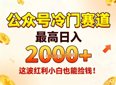 公众号冷门赛道，最高日入1k+，这波红利小白也能捡钱！ - 付费阅读