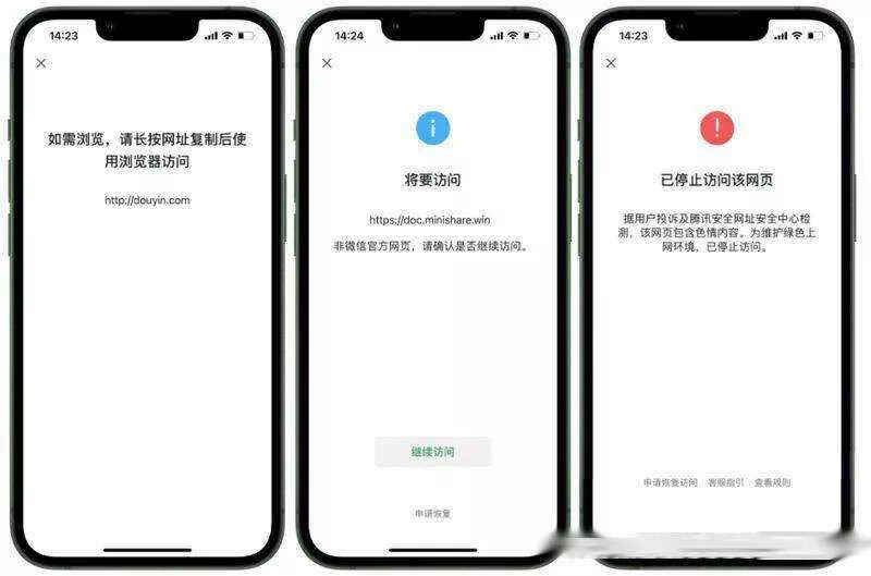 2023最新检测域名是否能在微信正常打开API源码 - 付费阅读