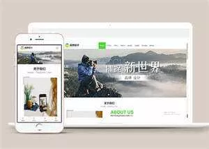 宽屏广告品牌设计类网站模板源码 - 付费阅读