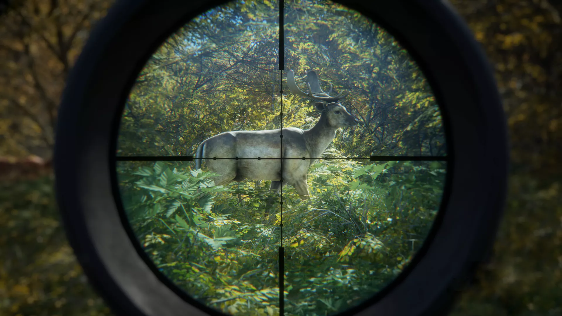 《猎人：荒野的召唤/theHunter: Call of the Wild》PC中文版下载-含v3101875 - 付费阅读
