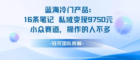 蓝海项目：16条笔记私域变现9750米小众赛道操作的人不多 - 付费阅读