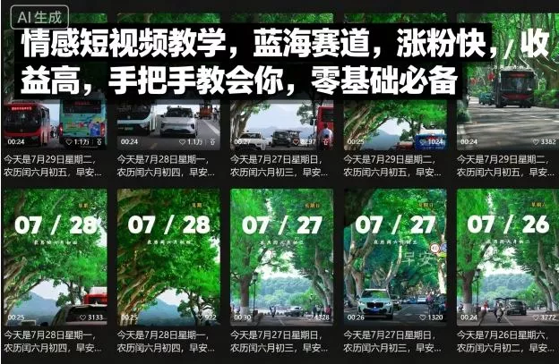 情感短视频教学，蓝海赛道，涨粉快，收益高，手把手教会你，零基础必备 - 付费阅读