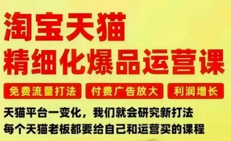 淘宝天猫精细化爆品运营课，免费流量打法-付费广告放大-利润增长-三大核心痛点，一次全部解决 - 付费阅读