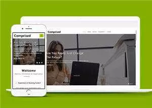企业合作商务展示HTML网页模板下载 - 付费阅读