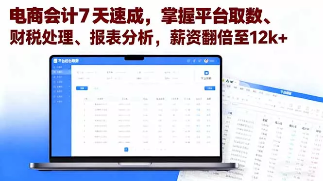电商会计7天速成，掌握平台取数、财税处理、报表分析，薪资翻倍至12k+ - 付费阅读