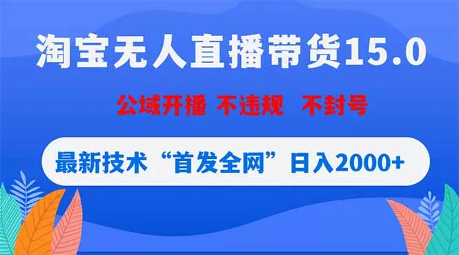 淘宝无人直播带货15.0，不封号，不违规，公域玩法，首发全网日入2000+ - 付费阅读