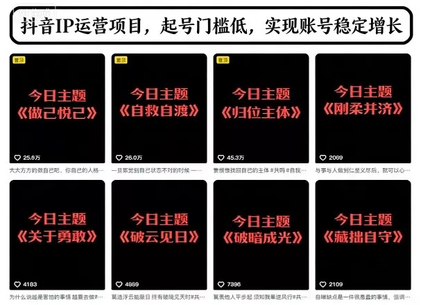 抖音IP运营项目，抖音今日主题玩法，起号门槛低，实现账号稳定增长 - 付费阅读