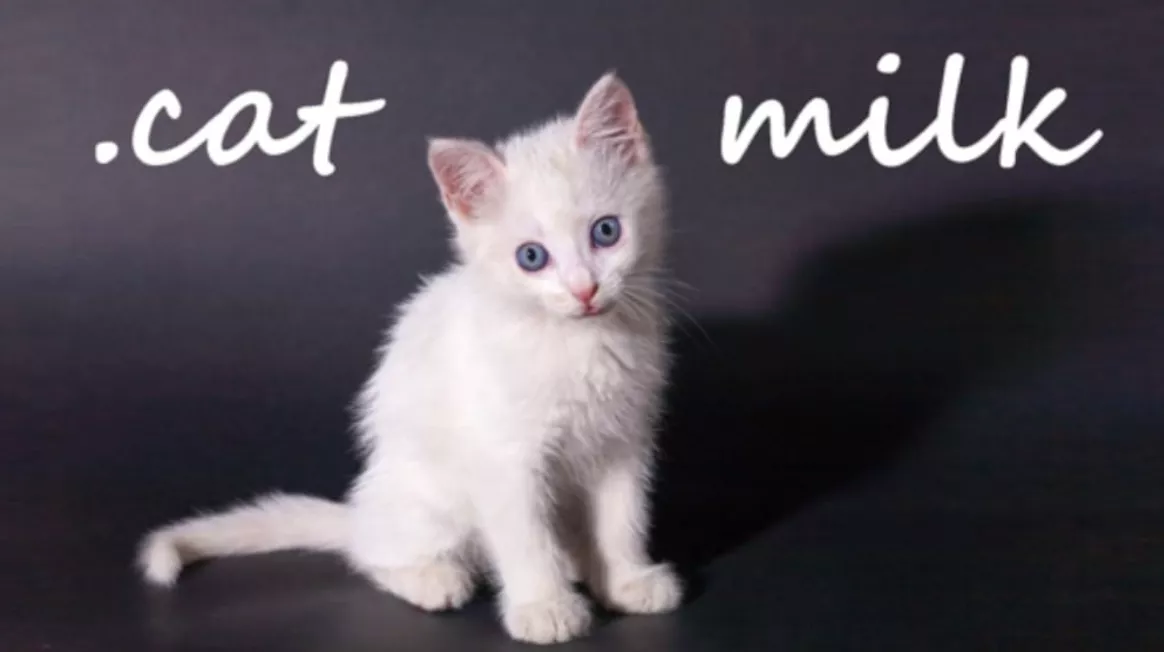 《小奶猫 .cat Milk》Switch英文版NSP下载 - 付费阅读