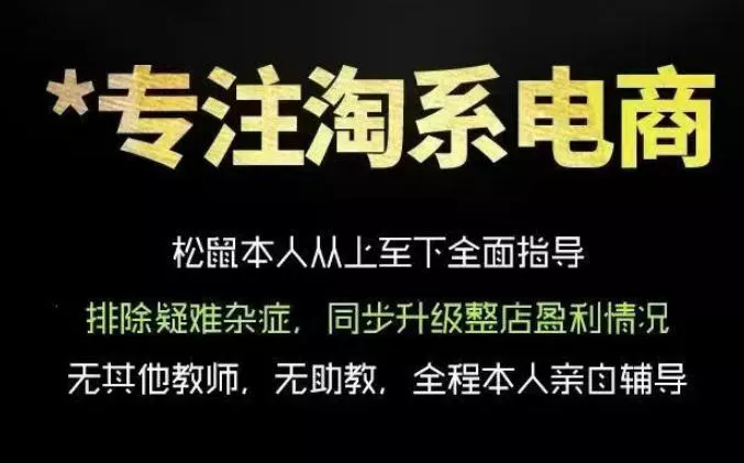 松鼠会电商VIP课程，从基础布局到高阶优化，助你掌握淘宝运营逻辑，提升店铺流量与转化 - 付费阅读