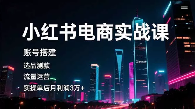 小红书电商实战课，账号搭建，选品测款，流量运营，实操月利润3万+ - 付费阅读