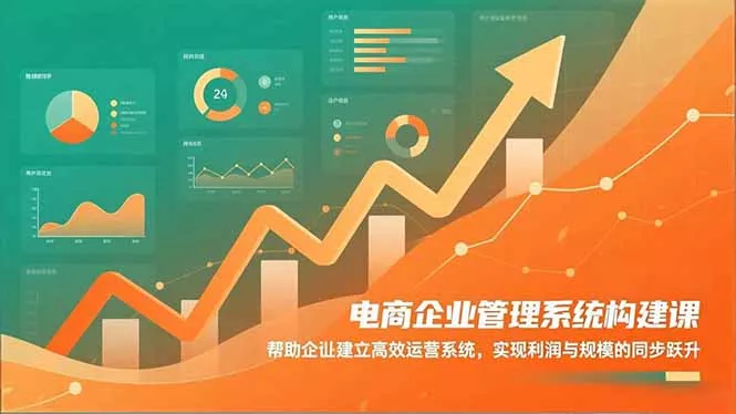 电商企业管理系统构建课：帮助企业建立高效运营系统，实现利润与规模的同步跃升 - 付费阅读
