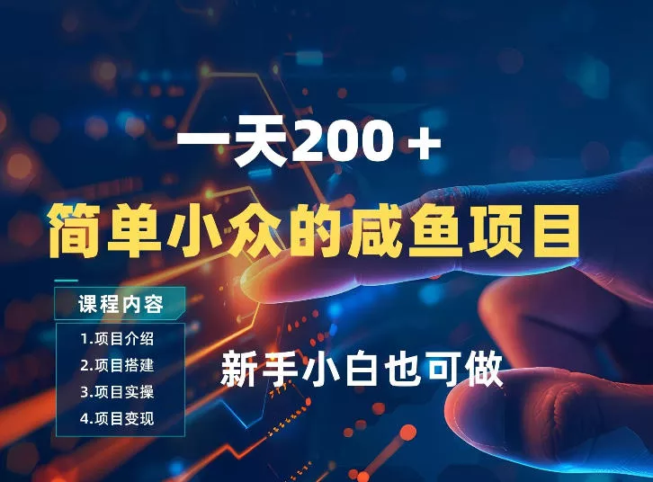 一天收入2张，一个简单小众的咸鱼项目，0门槛小白也能做 - 付费阅读