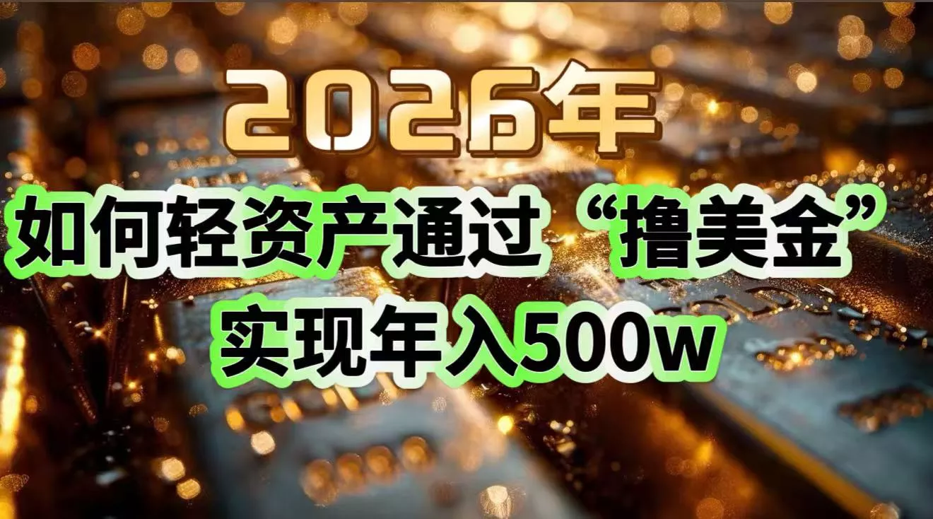 2026年如何轻资产通过“撸美金”实现年入500w - 付费阅读